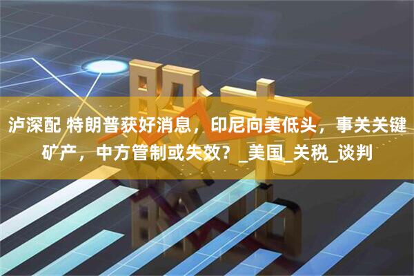 泸深配 特朗普获好消息，印尼向美低头，事关关键矿产，中方管制或失效？_美国_关税_谈判