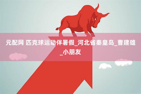 元配网 匹克球运动伴暑假_河北省秦皇岛_曹建雄_小朋友