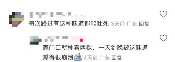 辉煌优配 “熏到崩溃”！近期，深圳街头“臭”味弥漫！网友：没人管管吗？
